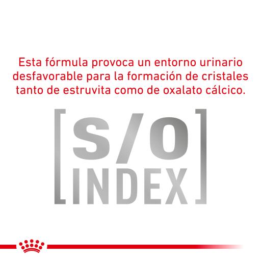 royal canin satiety support gato