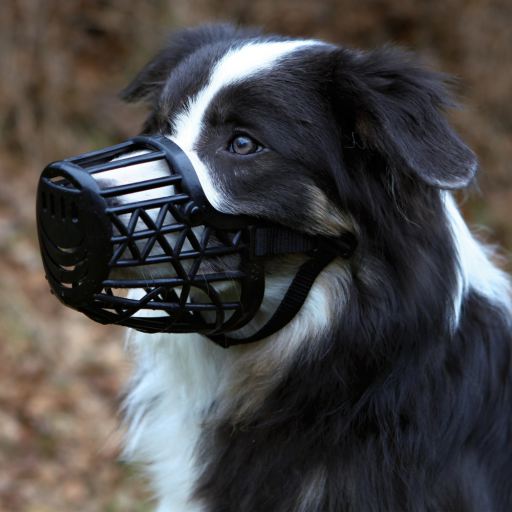 Trixie Plastic Muzzle with Nylon Adjustment Straps Trixie Plastic Muzzle with Nylon Adjustment Straps