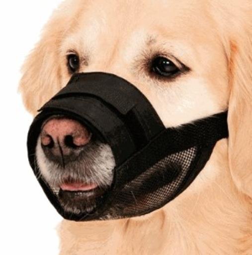 Nayeco Padded Adjustable Nylon Muzzle Miscota United States of America