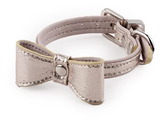Glamour Dog Collar with Champagne Loop