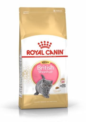 Canin royal kitten hotsell