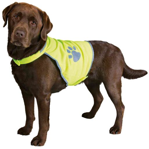 Reflective Safety Vest for Dogs