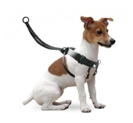 flamingo easy walker