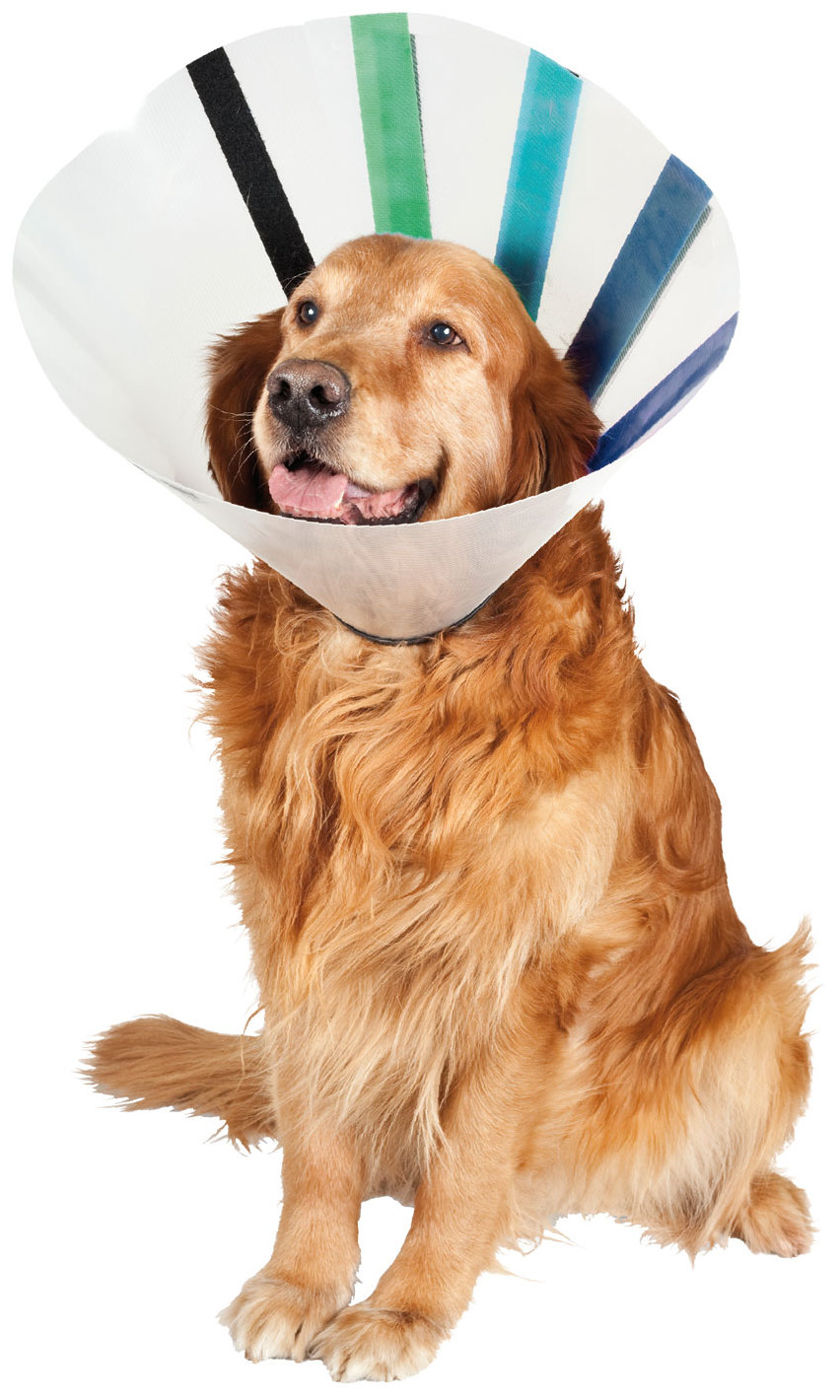 Miscota KVP Ez Clear Plastic Elizabethan Collar