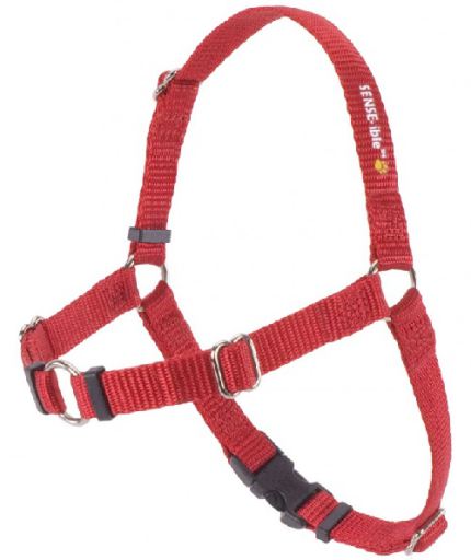 Sense-ible Educational and Anti-Strain Harness Red