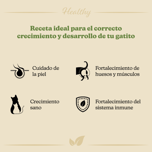 Grature Kitten Chicken