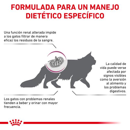 royal canin special renal cat