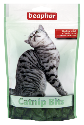 Catnip Bits Cat