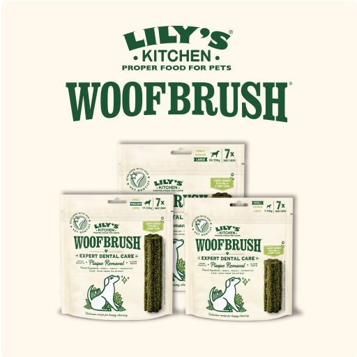 Lily's store kitchen woofbrush