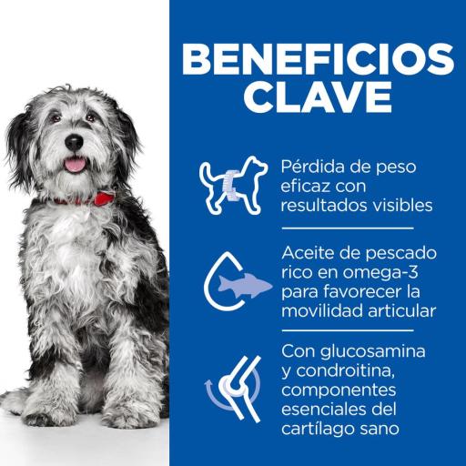 Hill's Science Plan Perfect Weight & Active Mobility pour Chiens Moyens au Poulet Hill's Science Plan Perfect Weight & Active Mobility pour Chiens Moyens au Poulet