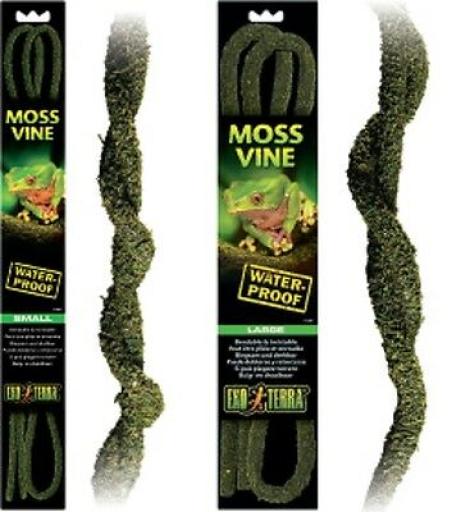 Moss Vine