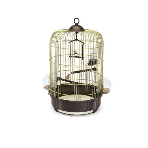 Gold and Brown Milly Birds Cage