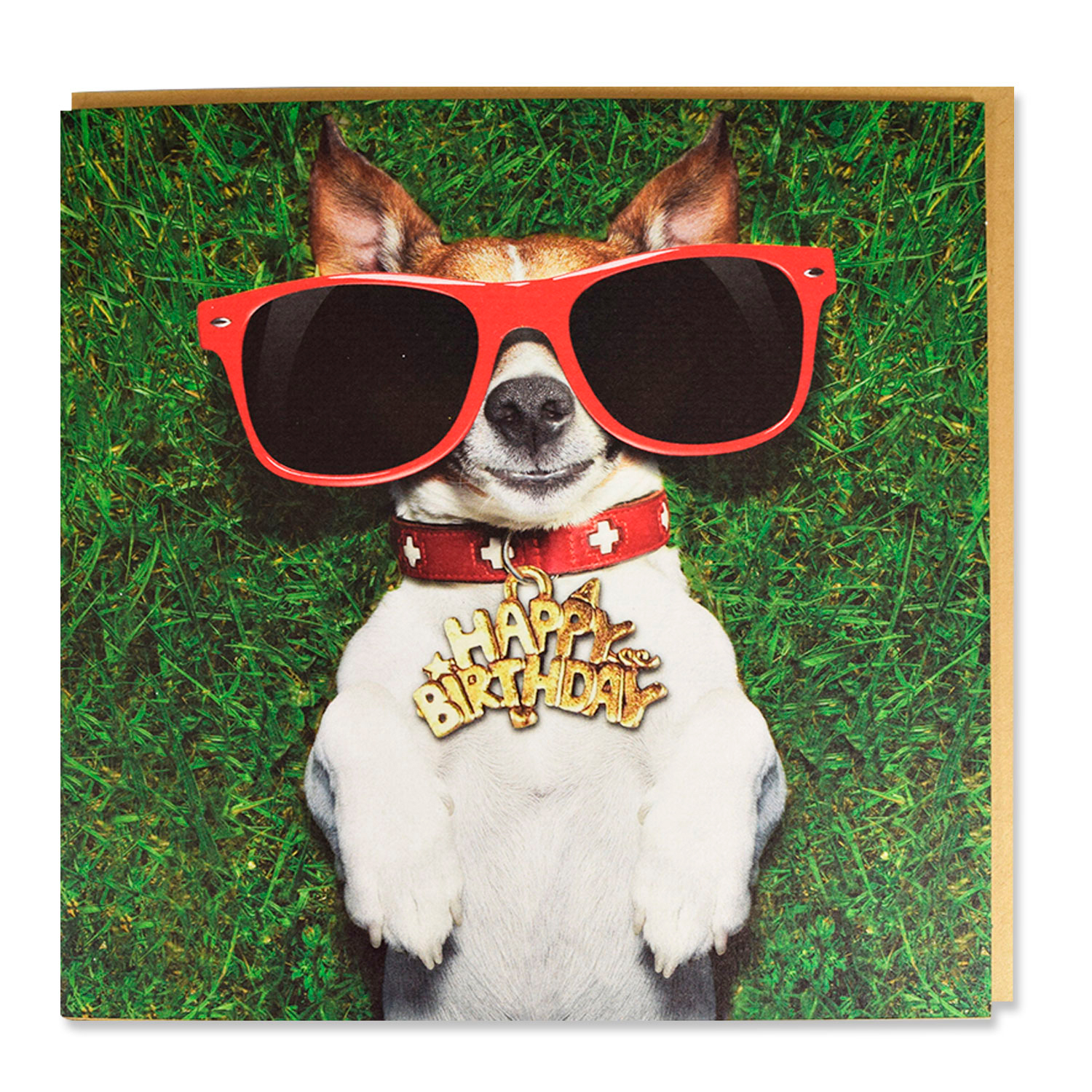 Miscota Magnet & Steel Jack Russel Card con occhiali 'Happy Birthday'