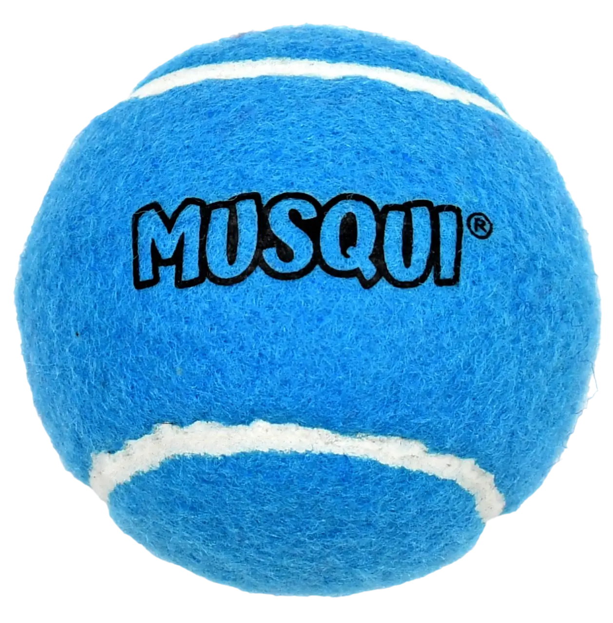 Miscota Musqui Pallina da tennis turchese per cani