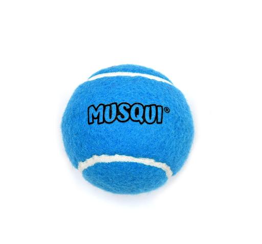 Turquoise Tennis Ball for Dogs