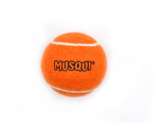 Orangefarbener Tennisball für Hunde