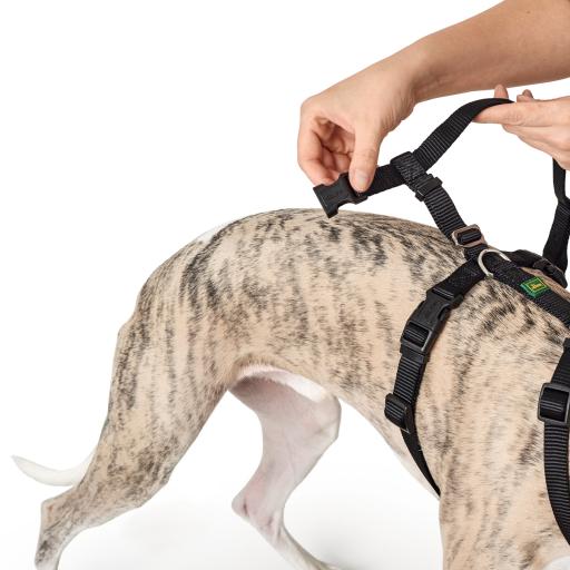 Hunter dog harness size guide best sale