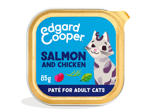 Grain-free salmon and chicken pâté for cats
