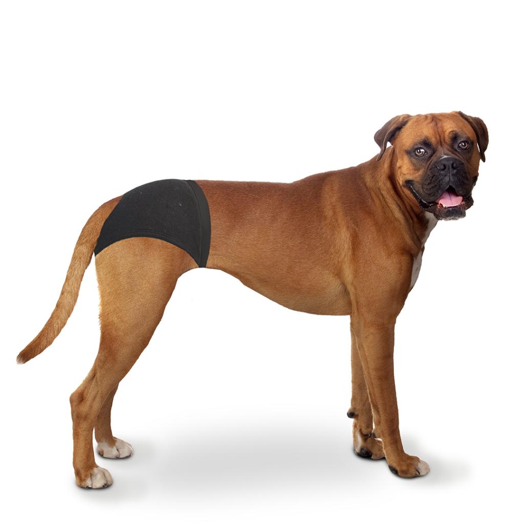 Miscota Duvo Plus Slip para Perro