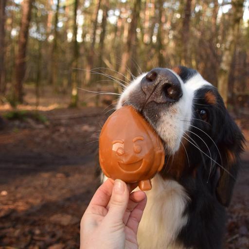 Duvo Plus Garden Bites Fruity Friends Collations dentaires pour chiens Duvo Plus Garden Bites Fruity Friends Collations dentaires pour chiens