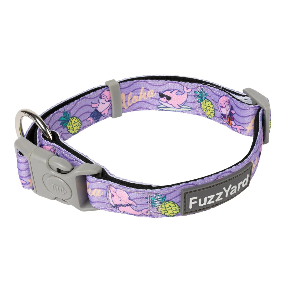 Miscota FuzzYard Aloha Dolphins Collare in neoprene per cani