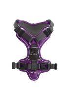 Hunter 2024 divo harness