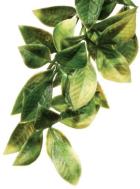 Plantas artificiales