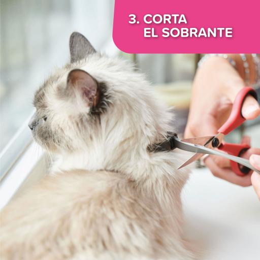 Beaphar Collare Catcomfort per situazioni di stress nei gatti - Miscota  Italy