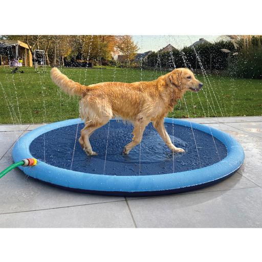 Refreshing Aquatic Playmat for Dogs