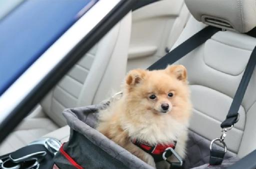 KONG Travel couvre-siège individuel pour chien