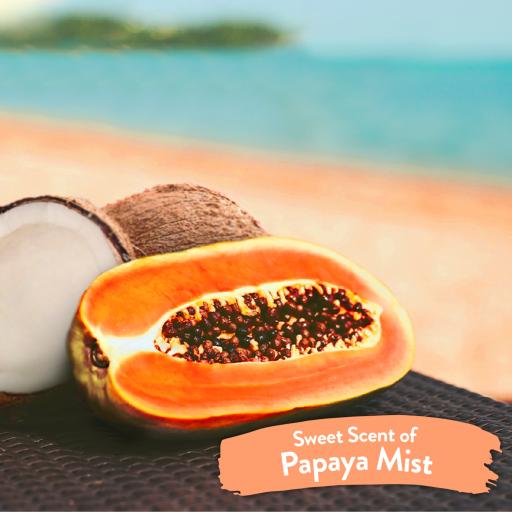 TropiClean Papaya Coconut Deodorizing Spray for Dogs