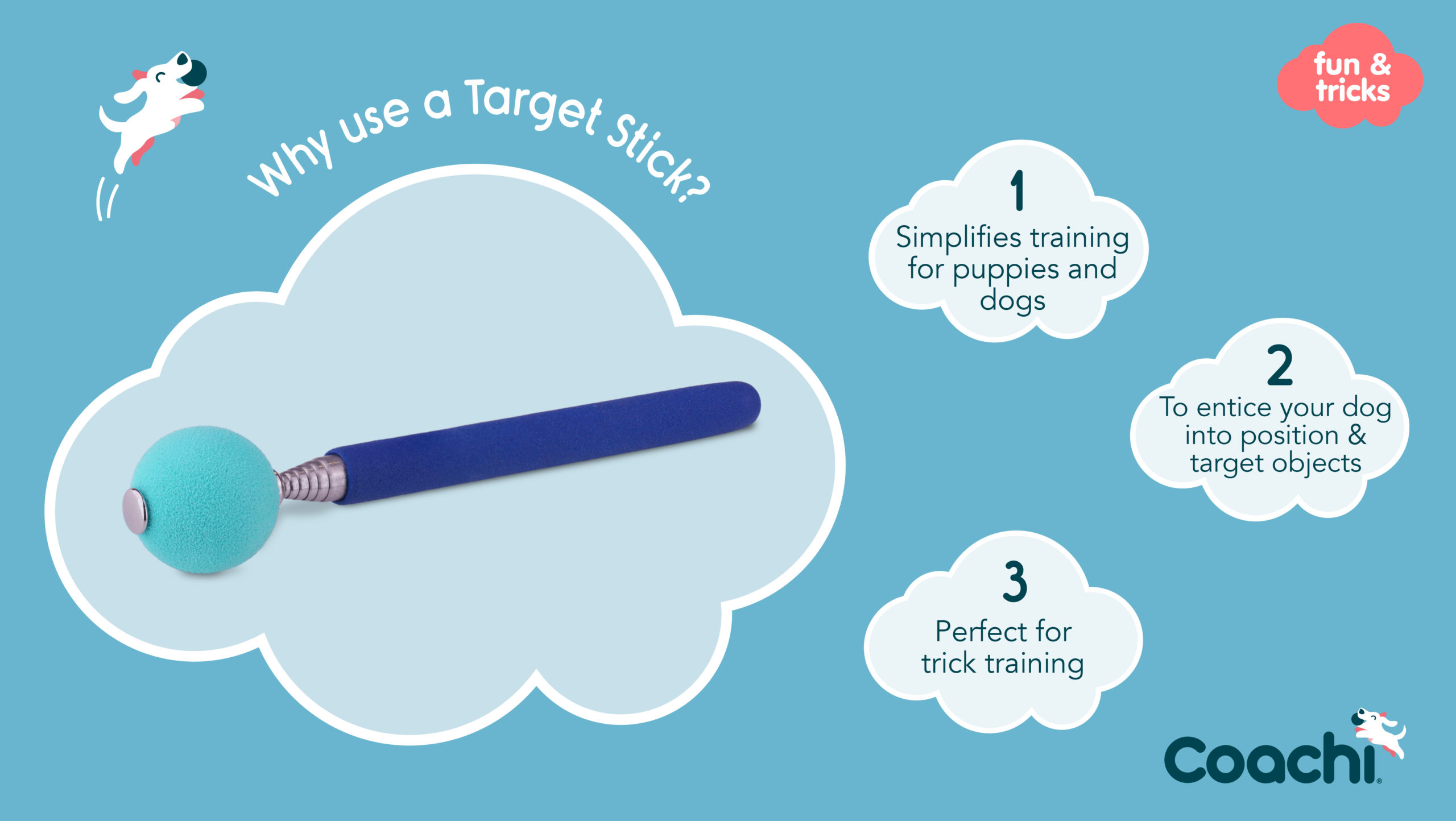Coachi Target Stick para el Adiestramiento Canino - Miscota España