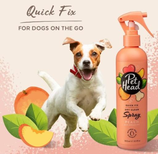 Dog head shampoo best sale