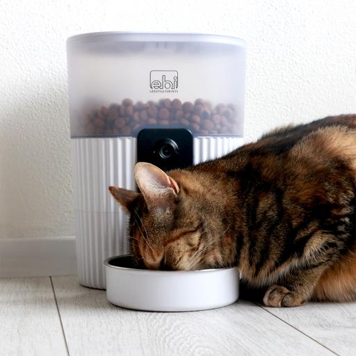 D D Kualo Smart Feeder with Camera for Cats and Small Dogs Miscota United Kingdom