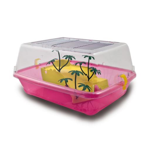 Nayeco Vivarium pour Tortues Pacific Petite Taille Couleurs Vari&eacute;es