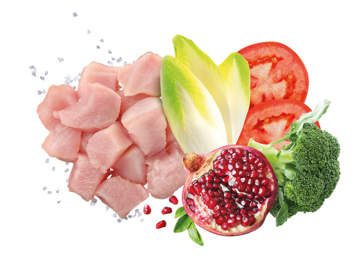 Exclusion Mediterraneo Monoprotein Noble Grain Light de Pollo para Perros Medianos y Grandes Exclusion Mediterraneo Monoprotein Noble Grain Light de Pollo para Perros Medianos y Grandes