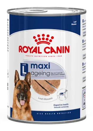 Miscota Royal Canin Maxi Aging 5+ Alimento Umido in Patè per Cani