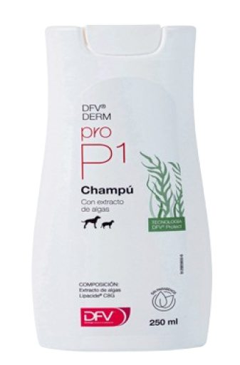 DFV Derm Pyoderma Shampoo for Dogs and Cats