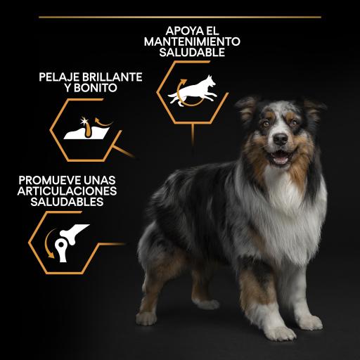 Purina pro plan optibalance medium best sale