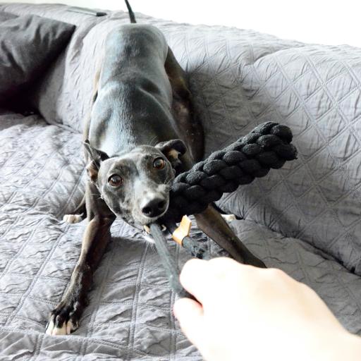 D&D Kurt Black Braided Rope Cone Teether for Dogs D&D Kurt Black Braided Rope Cone Teether for Dogs