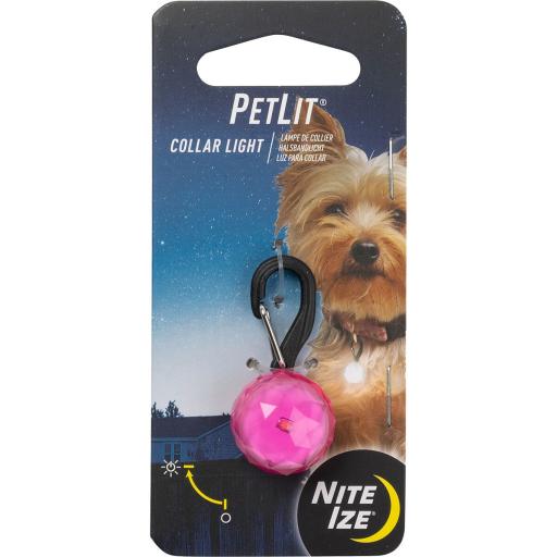 Nite ize dog collar hotsell