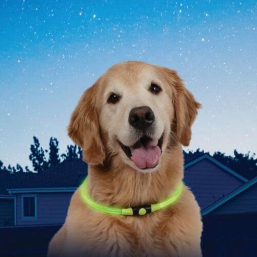 Nite Ize Nitehowl Green LED Dog Safety Light Band Miscota United Kingdom