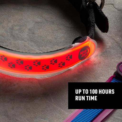 Nite dawg led dog collar best sale