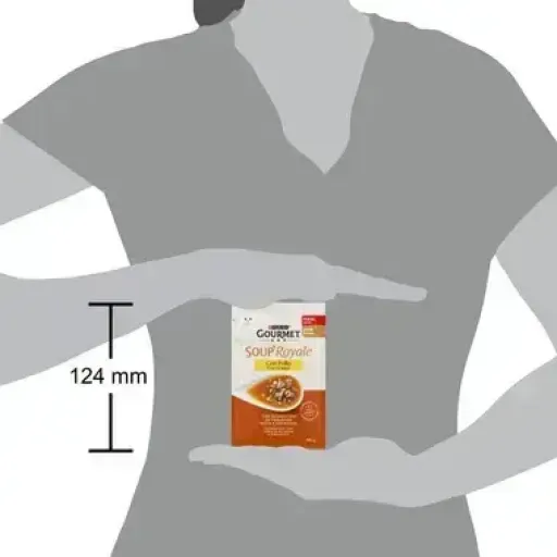 Gourmet Nature's Creation Chicken Soup Wet Food for Cats