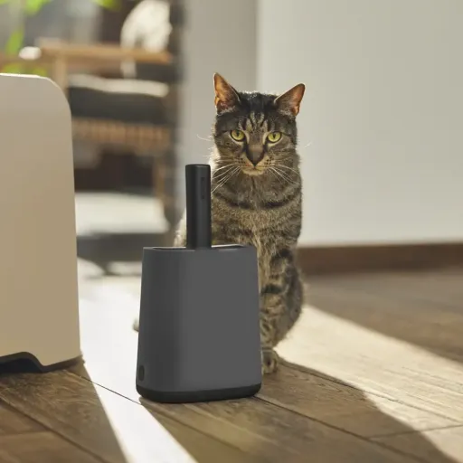 Rotho Biala-Schaufel Anthrazit mit Halterung für Katzentoiletten