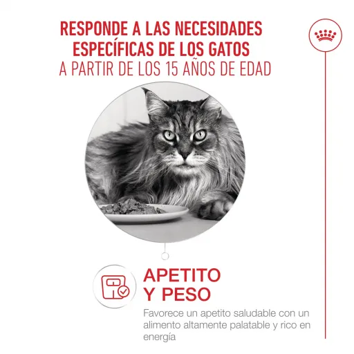 Royal Canin Ageing 15+ Alimento Umido in Salsa per Gatti Anziani Royal Canin Ageing 15+ Alimento Umido in Salsa per Gatti Anziani