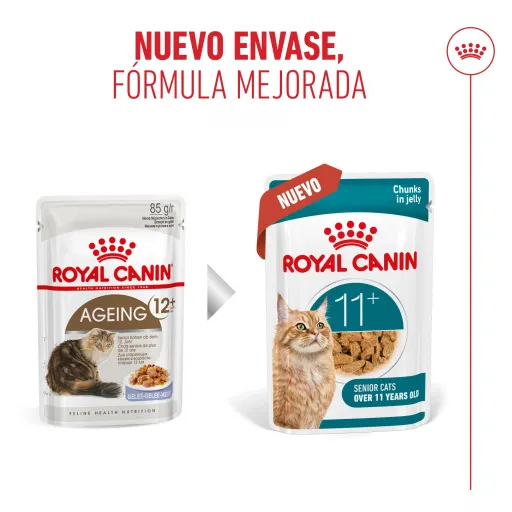 Royal Canin Ageing 11+ Wet Food in Jelly for Senior Cats Royal Canin Ageing 11+ Wet Food in Jelly for Senior Cats