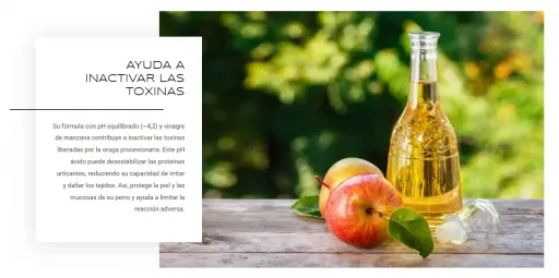 Silverwoof ProcesioFix Spray &ndash; First Aid to Relieve the Effects of Contact with Pine Processionary