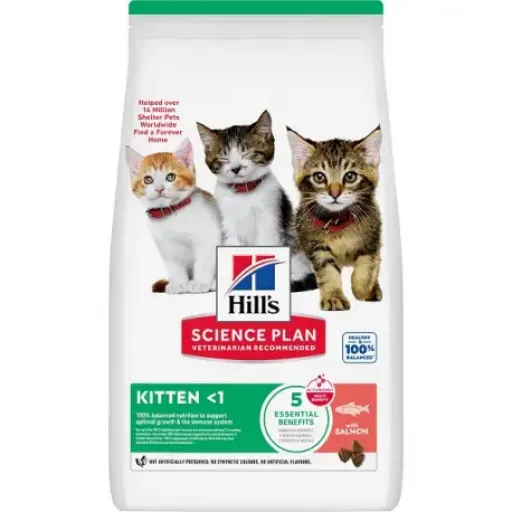 Hill's Science Plan Feline Kitten Salmon Dry Food for Kittens
