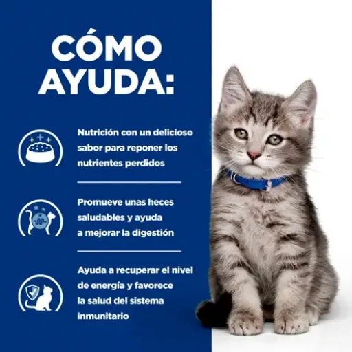 Hill's Prescription Diet i/d Kitten Dry Food for Kittens